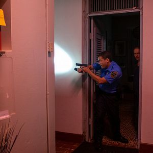 Bilder Force Of Nature