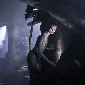 Bilder Amanda Collin