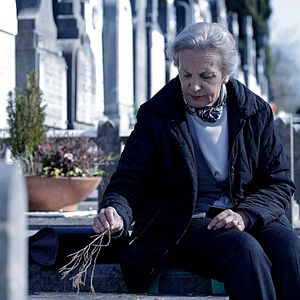 Bilder Elena Irureta