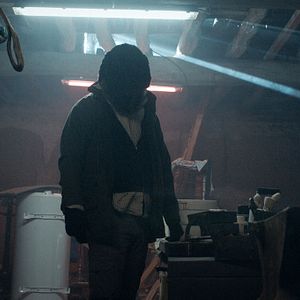 Bilder Anonymous Animals