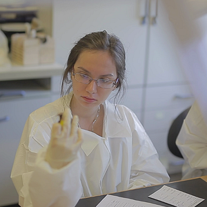 Bilder Contemporary Past - Die Gegenwart der Vergangenheit