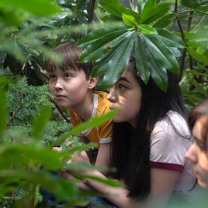 Bilder Dublin Murders