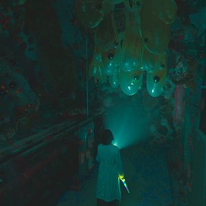 Bilder The School Nurse Files