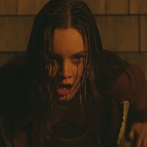 Bilder The Beach House