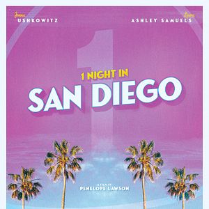 Bilder 1 Night In San Diego