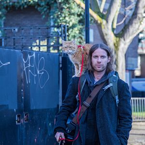 Bilder Ein Geschenk von Bob