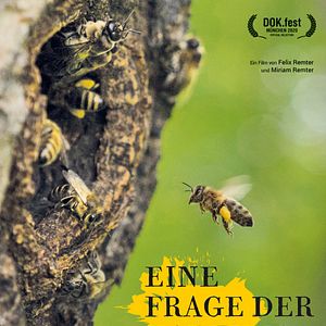 Bilder Eine Frage der Haltung