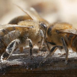 Bilder Eine Frage der Haltung