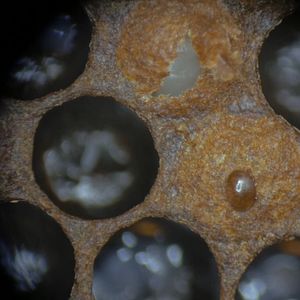 Bilder Eine Frage der Haltung