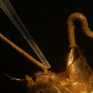 Bilder Eine Frage der Haltung