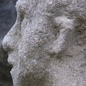 Bilder Zustand und Gelände