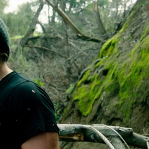 Bilder Rootwood - Blutiger Wald