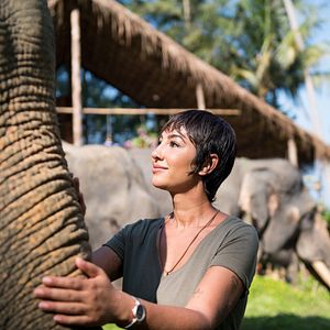 Bilder Tremors 7 - Shrieker Island