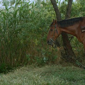 Bilder Son Kale Hacıbey