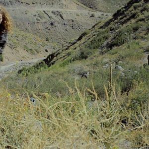 Bilder El Viaje de Ana