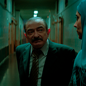 Bilder La mujer ilegal