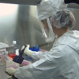 Bilder Totally Under Control