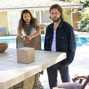 Bilder Animal Kingdom