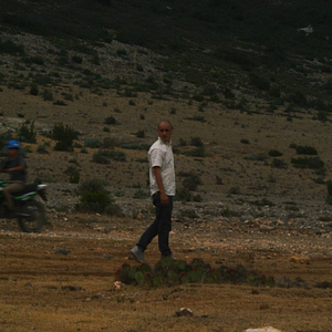 Bilder Flora Y Fauna