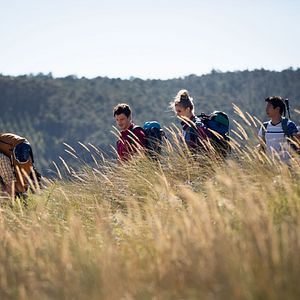 Bilder Drei Wege - Tres Caminos