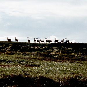 Bilder The Two Sights