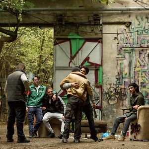 Bilder Ein nasser Hund