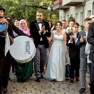 Bilder Ein nasser Hund