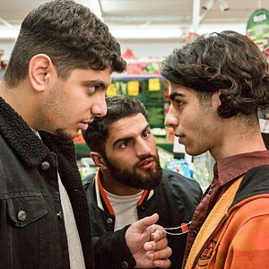 Bilder Ein nasser Hund