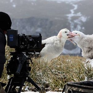 Bilder Our Planet: Behind the Scenes