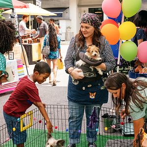 Bilder Melissa McCarthy