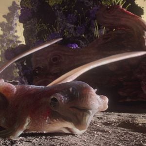 Bilder Außerirdische Welten