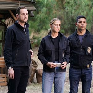 Bilder Emily Wickersham