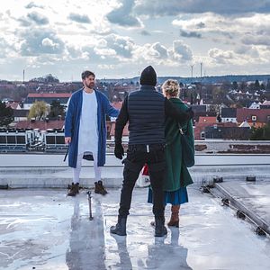 Bilder Alle Nadeln an der Tanne