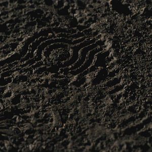 Bilder Night Stalker: Auf der Jagd nach einem Serienmörder