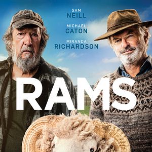 Bilder Besser wird's nicht