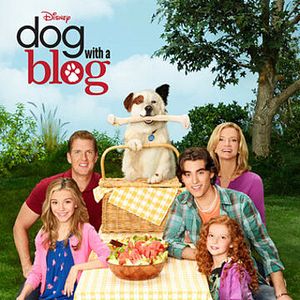 Bilder Hund mit Blog