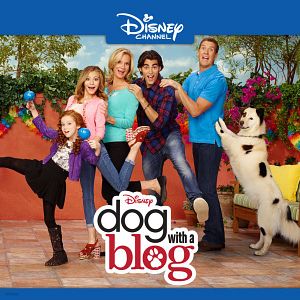 Bilder Hund mit Blog