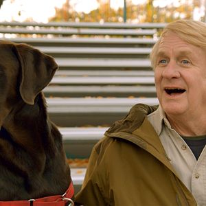 Bilder Ein Hundeleben mit Bill Farmer