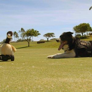 Bilder Ein Hundeleben mit Bill Farmer