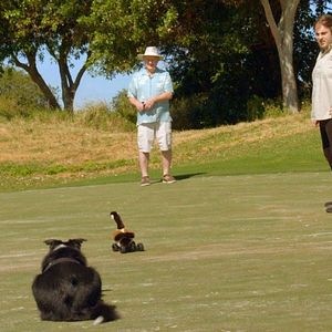 Bilder Ein Hundeleben mit Bill Farmer