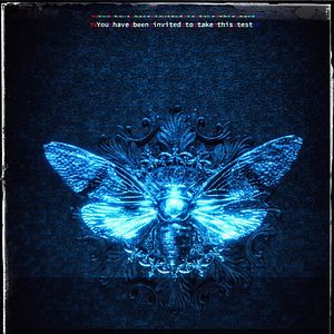 Bilder Dark Web: Cicada 3301