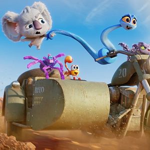 Bilder Zurück ins Outback