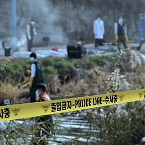 Bilder Contamination - Tödliche Parasiten