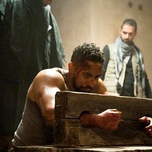 Bilder Neil Brown Jr.