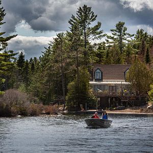 Bilder Der Wolf und der Löwe