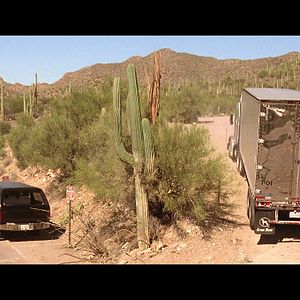 Bilder Perdita Durango