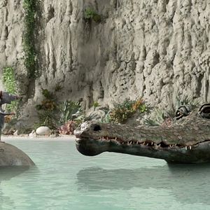 Bilder Im Himmel ist auch Platz für Mäuse