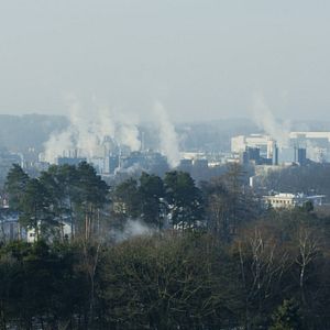 Bilder Herr Bachmann und seine Klasse