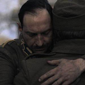 Bilder Das Licht in den Birkenwäldern