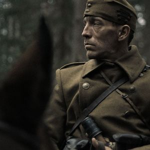 Bilder Das Licht in den Birkenwäldern